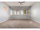 Large carpeted bedroom featuring multiple windows, ceiling fan and neutral paint at 702 E Capricorn Way, Chandler, AZ 85249