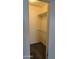 Walk-in closet with carpet and shelving for organized storage at 10039 W Lancaster Dr, Sun City, AZ 85351