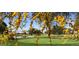 Beautiful golf course view with vibrant yellow blossoms framing a green at 1474 E Riviera Dr, Chandler, AZ 85249