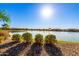 Beautiful community lake view highlighting the serene waterfront and surrounding neighborhood homes at 17139 S 174Th Dr, Goodyear, AZ 85338