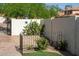 Private backyard showcasing lush greenery, decorative plants, and a secure wall, enhancing outdoor appeal and privacy at 19511 N 76Th Ave, Glendale, AZ 85308