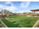 Expansive green lawn with a covered patio, great for outdoor activities and community events at 21930 N 29Th St, Phoenix, AZ 85050
