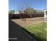 A low maintenance backyard with gravel, grass, block fence and young trees at 3012 N 310Th Ln, Buckeye, AZ 85396