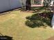 Lush backyard with healthy green grass, bordered by a white fence, offering a serene outdoor space at 4309 E Alta Mesa Ave, Phoenix, AZ 85044