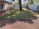 Spacious backyard featuring a well-maintained lawn, mature trees, and privacy fence, ideal for outdoor activities at 4309 E Alta Mesa Ave, Phoenix, AZ 85044