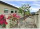 Sideyard landscaping with decorative rock, flowering vines, and desert tree. Great for low maintenance in the desert climate at 5951 N 190Th Dr, Litchfield Park, AZ 85340