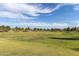 Expansive green space with mature trees, perfect for outdoor activities and relaxation at 632 W Natal Cir, Mesa, AZ 85210