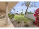 Scenic backyard featuring lush landscaping, palm trees, and a covered patio at 7552 N San Manuel Rd, Scottsdale, AZ 85258