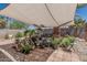 Backyard with a patio cover, tropical plants, stone, and potted plants at 829 S Roanoke St, Gilbert, AZ 85296