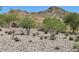 Scenic desert landscape featuring native vegetation and rugged terrain, showcasing the natural beauty of the area at 10417 W Alyssa Ln, Peoria, AZ 85383
