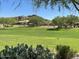 Lush green space in the community, offering a serene environment for relaxation and recreation at 10417 W Alyssa Ln, Peoria, AZ 85383