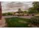 Lush backyard featuring a covered patio, green grass, and mature landscaping, ideal for outdoor living at 10561 E Plata Ave, Mesa, AZ 85212