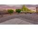 Spacious backyard featuring mature trees, a covered patio, and ample space for relaxation at 10561 E Plata Ave, Mesa, AZ 85212