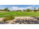 Expansive grassy common area with mature trees, landscaping, and a clear blue sky at 10561 E Plata Ave, Mesa, AZ 85212