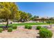 Community green space with walking path, mature trees, and well-maintained landscaping at 10561 E Plata Ave, Mesa, AZ 85212