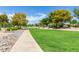 Scenic park area featuring a paved walkway, grassy field, and beautiful trees at 10561 E Plata Ave, Mesa, AZ 85212