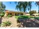 Spacious backyard with covered patio, lush lawn, mature trees, and desert landscaping at 15395 W Pinchot Ct, Goodyear, AZ 85395
