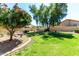 Beautiful, serene backyard with grass, mature trees, desert landscaping and a privacy fence at 15395 W Pinchot Ct, Goodyear, AZ 85395