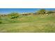 A large green space offers community members plenty of space for recreation and relaxation on a sunny day at 2144 W Barwick Dr, Phoenix, AZ 85085