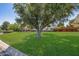 Beautiful home showcasing a manicured front lawn with mature shade tree and vibrant perimeter landscaping at 4030 N 54Th Pl, Phoenix, AZ 85018