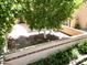 Secluded backyard featuring mature shade trees, a privacy wall, and brick accents at 563 N Spanish Springs Dr, Chandler, AZ 85226