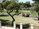 Scenic view of the community pond with pedestrian bridge, green space, and mature trees in a tranquil setting at 563 N Spanish Springs Dr, Chandler, AZ 85226