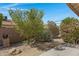 Charming backyard showcasing natural greenery, desert landscaping, and a calming outdoor atmosphere at 6341 S Cypress Point Dr, Chandler, AZ 85249