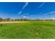 Expansive community baseball field with green grass and bright blue skies, perfect for recreation at 14294 W Edgemont Ave, Goodyear, AZ 85395