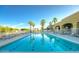 Beautiful outdoor pool area with refreshing blue water, palm trees, lounge chairs, and a covered area perfect for relaxation at 22940 W Desert Bloom St, Buckeye, AZ 85326