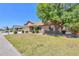 Beautifully landscaped front yard with a mature tree shading this lovely single-story home at 2322 E Dolphin Ave, Mesa, AZ 85204
