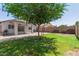 Spacious backyard features a covered patio and well-maintained lawn at 4232 N 112Th Ln, Phoenix, AZ 85037
