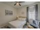 Comfortable bedroom with a ceiling fan, a gold metal frame bed, modern decor, and light-filled windows at 5048 N 84Th Dr, Glendale, AZ 85305