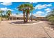 Spacious backyard features decorative palm trees and rock landscaping at 530 N Jesse Ct, Chandler, AZ 85225