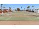 Multiple shuffleboard courts, offering a fun and social activity space within a beautifully landscaped community at 701 S Dobson Rd # 259, Mesa, AZ 85202