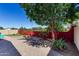 Private backyard with colorful accent wall, mature tree, and desert landscaping at 7159 S Dodane Ct, Gilbert, AZ 85298