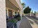 Covered patio with views of desert landscaped backyard, trees and chairs at 6214 E Sierra Morena St, Mesa, AZ 85215