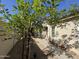 Landscaped side yard with mature tree, pathway and house exterior at 6214 E Sierra Morena St, Mesa, AZ 85215