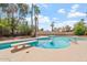 Backyard with a diving board and sparkling swimming pool surrounded by lush desert landscaping and palm trees at 9802 N 77Th St, Scottsdale, AZ 85258
