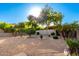 Lush backyard featuring desert landscaping with mature trees, offering a serene outdoor retreat at 15140 E Staghorn Dr, Fountain Hills, AZ 85268