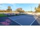 Well-maintained pickleball court with blue surface, complete with net, basketball hoop, and surrounding landscape at 6718 E Caron Dr, Paradise Valley, AZ 85253