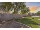 This backyard features a well-maintained lawn, mature trees, and a sturdy block wall, providing privacy and a natural ambiance at 11259 W Locust Ln, Avondale, AZ 85323