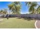 Wide view of the backyard, highlighting the artificial turf, privacy fence, and lush trees surrounding the property at 11259 W Locust Ln, Avondale, AZ 85323