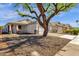 Charming single-story home with a well-maintained yard and a large, mature shade tree enhancing curb appeal at 1320 E Binner Dr, Chandler, AZ 85225