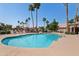 Community swimming pool surrounded by tall palm trees and lounge chairs, perfect for relaxing in the sun at 162 W El Freda Rd, Tempe, AZ 85284