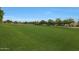 Expansive green space in community park provides a refreshing recreational area with mature trees under a vibrant sky at 20627 W Grandview Dr, Buckeye, AZ 85396