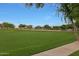 Lush green space in community park provides a great recreational area with mature trees and a bright blue sky at 20627 W Grandview Dr, Buckeye, AZ 85396