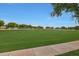 Expansive green space in a community park offers a refreshing recreational area with mature trees and blue skies at 20627 W Grandview Dr, Buckeye, AZ 85396