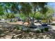 Community playground with mature shade trees and a variety of play equipment for recreational activities at 20627 W Grandview Dr, Buckeye, AZ 85396