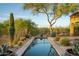 Inviting pool area showcasing desert landscaping and mature trees, creating a private and serene outdoor space at 23014 N 52Nd St, Phoenix, AZ 85054