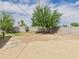 Spacious back yard with block wall and mature trees, providing privacy and shade at 2628 W Marshall Ave, Phoenix, AZ 85017